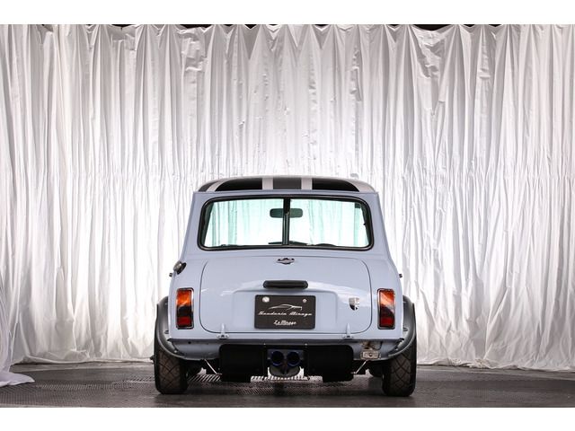 ROVER MINI