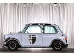 ROVER MINI
