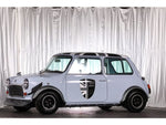 ROVER MINI