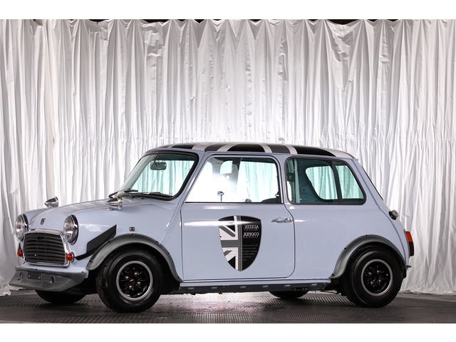 ROVER MINI