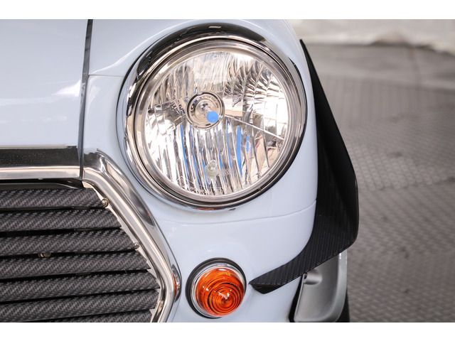 ROVER MINI