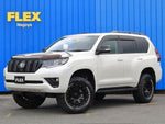 LANDCRUISER PRADO