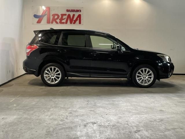 FORESTER