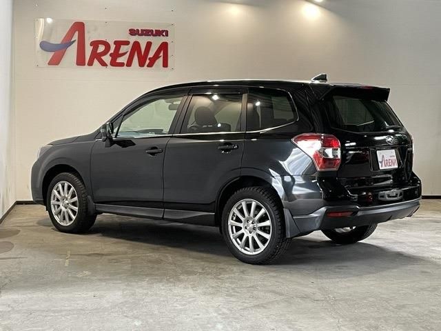 FORESTER