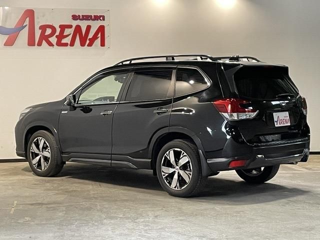 FORESTER
