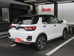 RAIZE HYBRID
