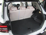 RAIZE HYBRID