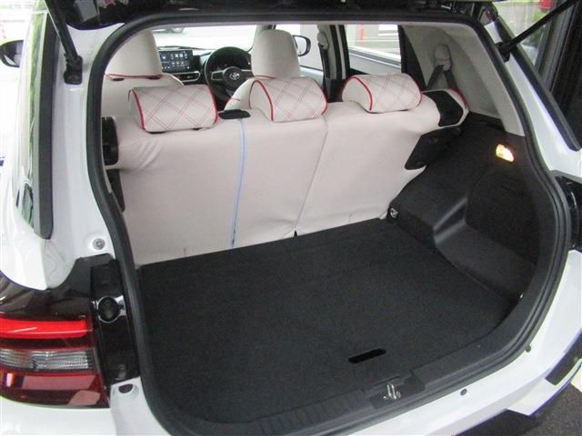 RAIZE HYBRID