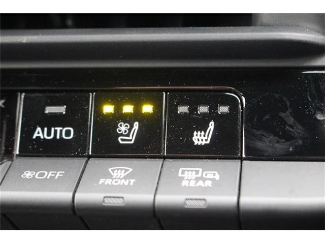CROWN SPORT