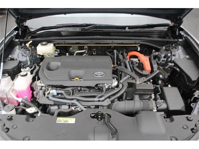 CROWN SPORT