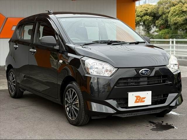 PLEO PLUS