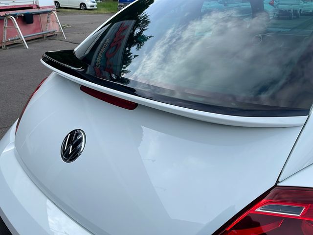 VOLKSWAGEN The BEETLE