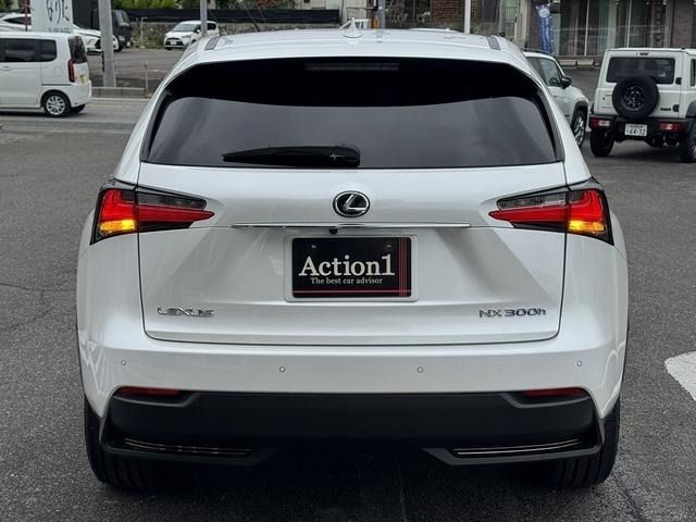 LEXUS NX300h