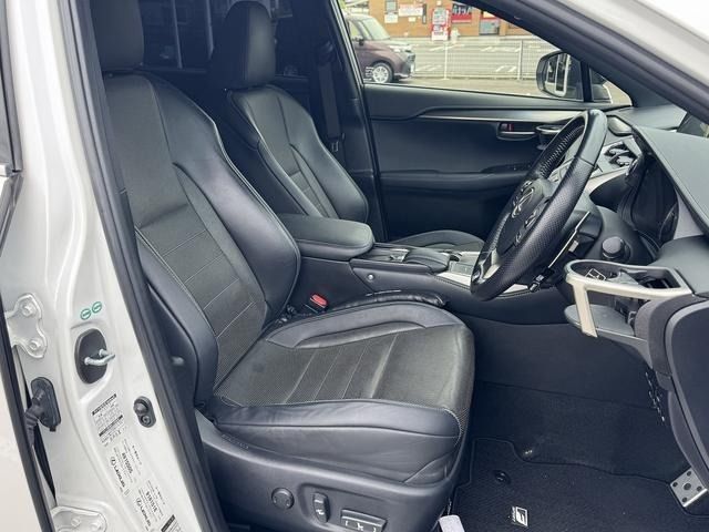 LEXUS NX300h