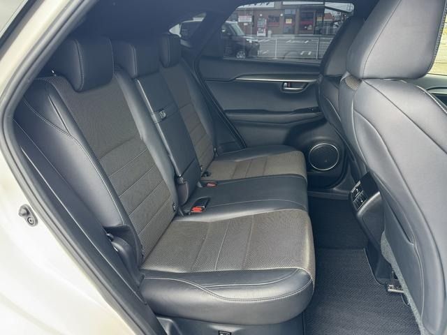 LEXUS NX300h