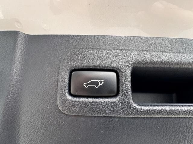 LEXUS NX300h