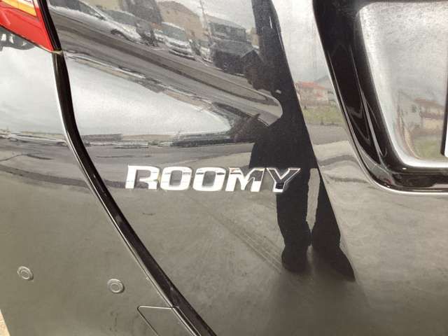 ROOMY