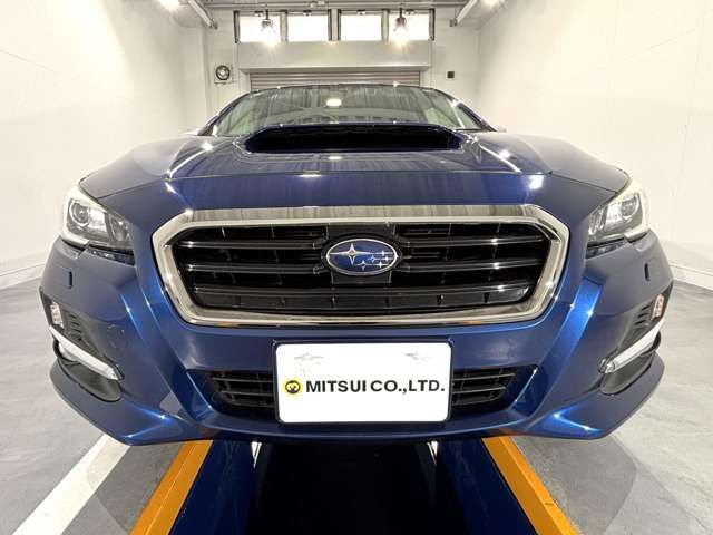 LEVORG