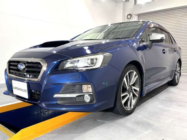 LEVORG