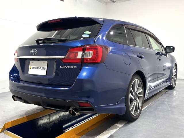 LEVORG