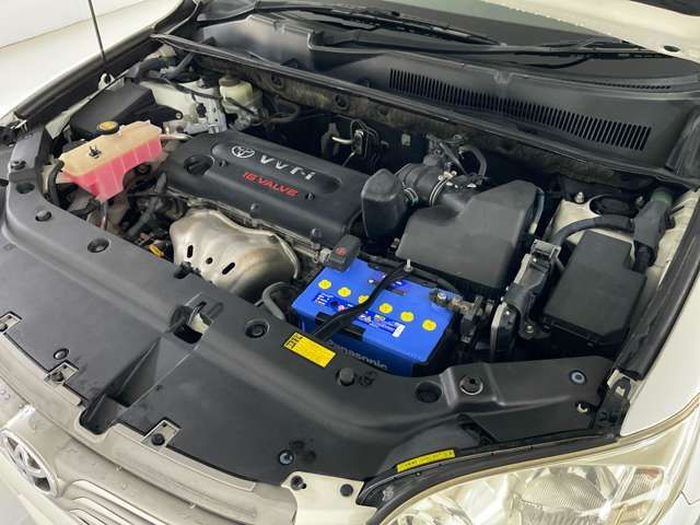 VANGUARD 4WD