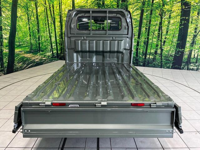 CARRY truck 4WD