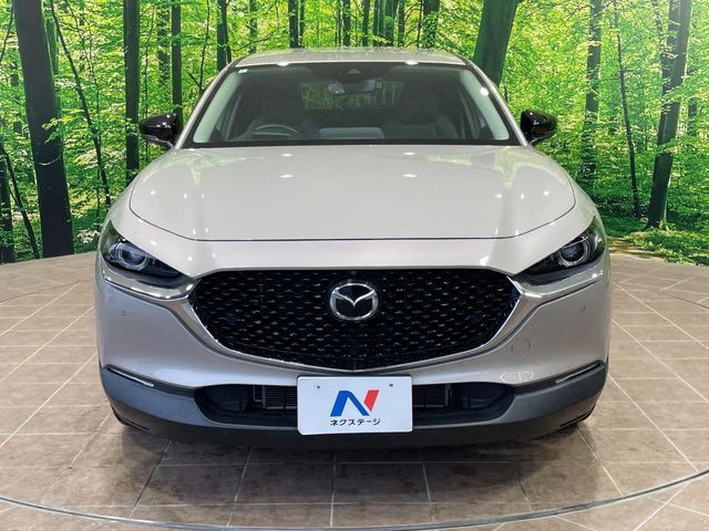 CX-30