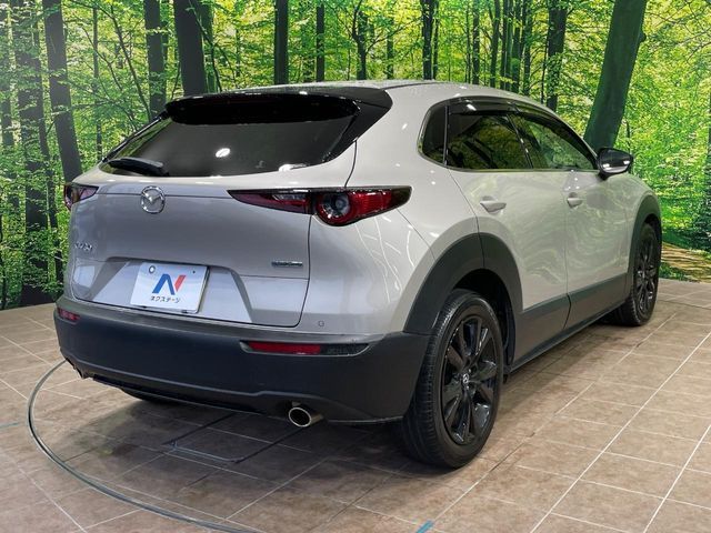 CX-30