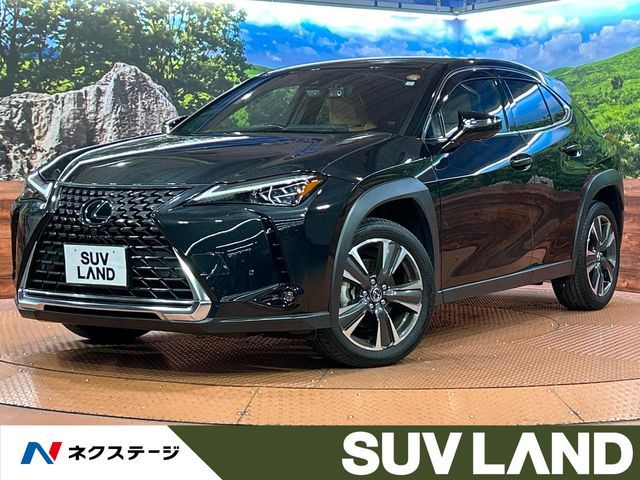 LEXUS UX250h