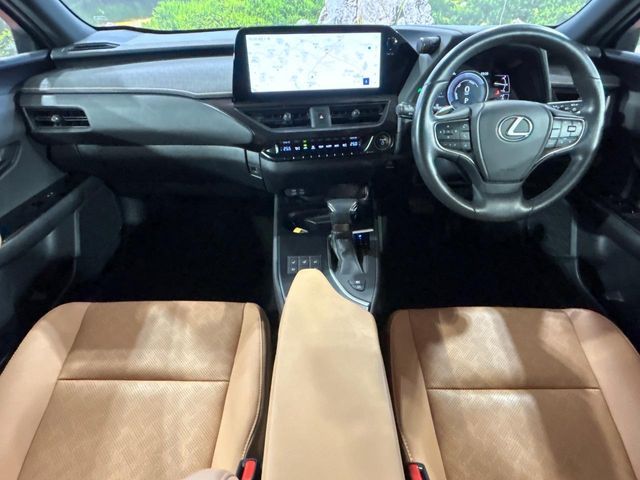LEXUS UX250h