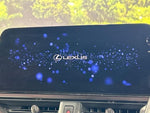 LEXUS UX250h