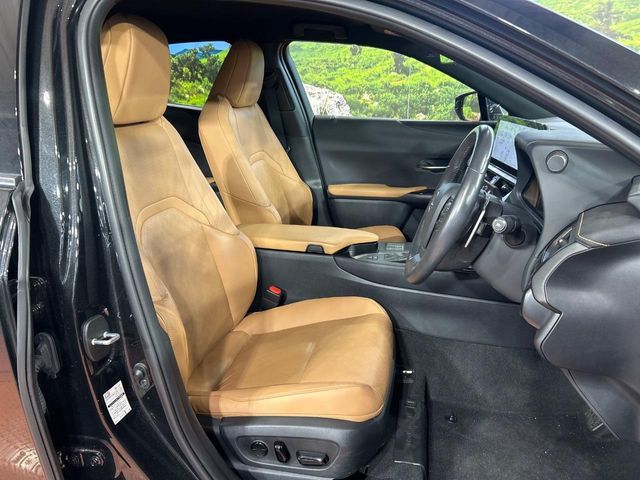 LEXUS UX250h