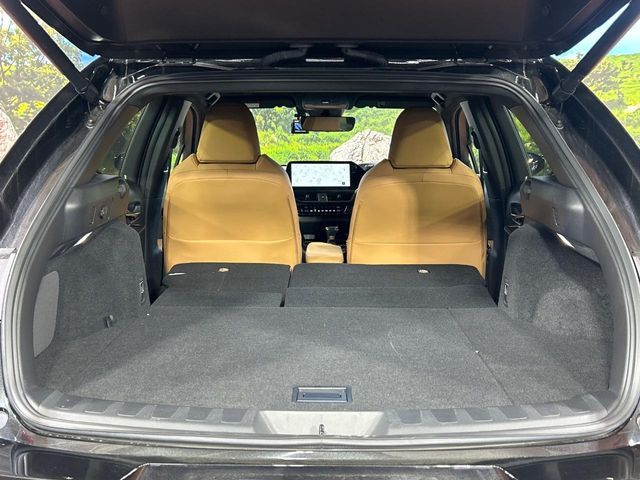 LEXUS UX250h