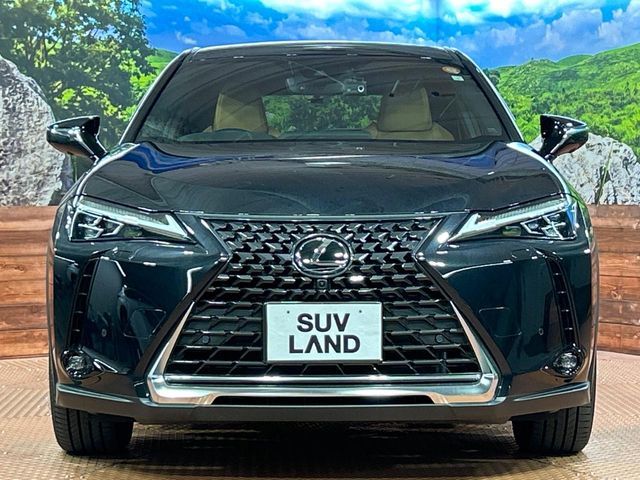 LEXUS UX250h