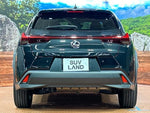 LEXUS UX250h