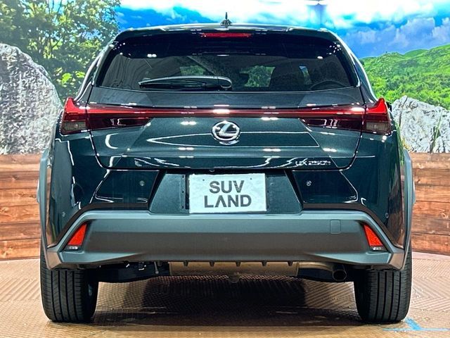 LEXUS UX250h