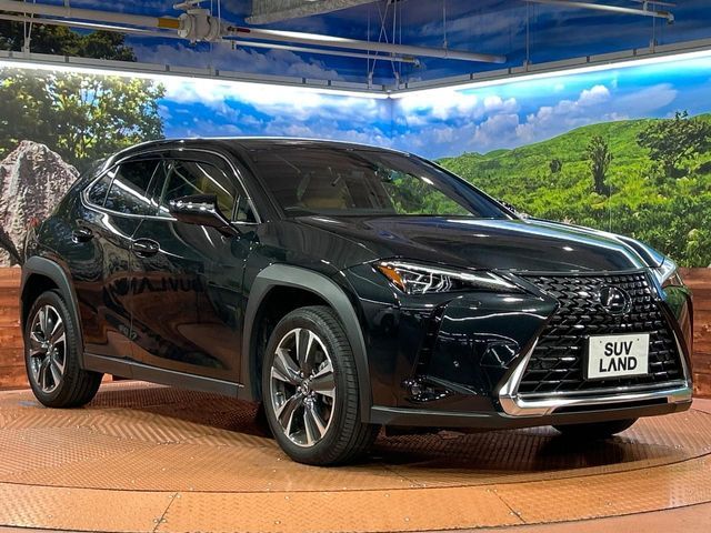 LEXUS UX250h