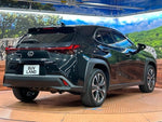 LEXUS UX250h