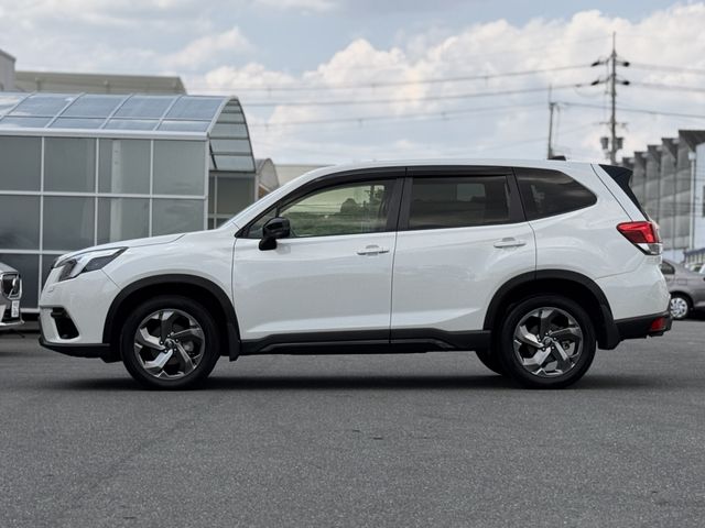 FORESTER