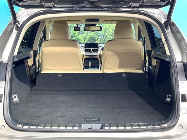 LEXUS NX300h