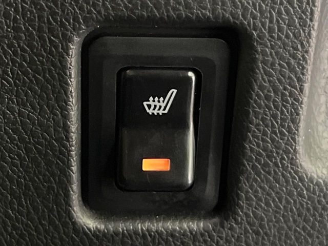 DAYZ ROOX 4WD