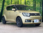 IGNIS