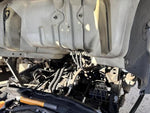ELF