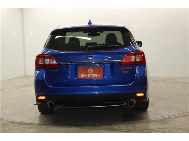 LEVORG