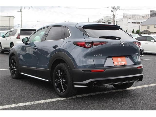 CX-30