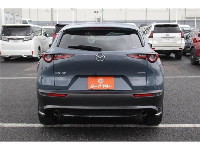 CX-30