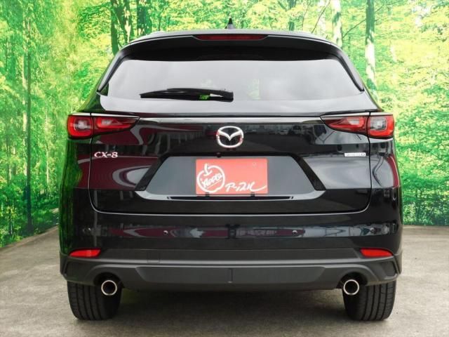CX-8