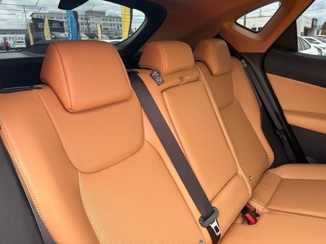 LEXUS NX350h AWD