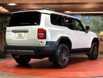 LANDCRUISER 250