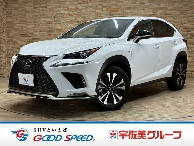 LEXUS NX300